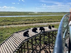 -黑瞎子岛探秘野熊园