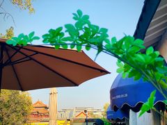 -Sirena海妖日咖夜酒