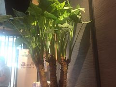 -渝是乎酸菜鱼(龙旗购物中心店)