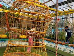 -南宫五洲植物乐园