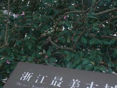 -莫干山风景区