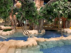 -中铁花水湾温泉酒店(大邑店)