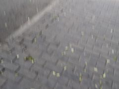 -湘子庙