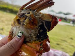 -七的湖·晚芳亭·阳澄湖农家菜·大闸蟹(莲花岛店)