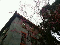 -四川大学(华西校区)