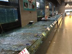 -雅盛品931海鲜酒家