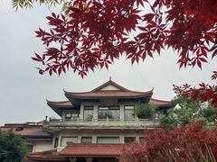 -湖畔居茶楼(湖滨店)