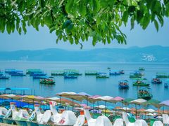 -抚仙湖禄充风景区