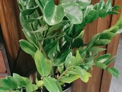 -南城故事柔式幻装Spa·按摩养生馆(世纪城店)