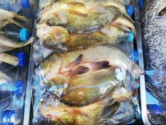 -新疆风味冷水鱼庄(友谊峰路店)