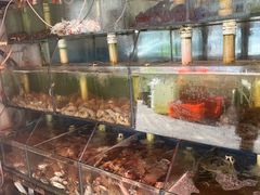-来之顺海鲜菜馆·青岛菜(栈桥店)