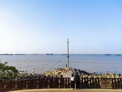 -上海滨江森林公园