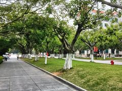 -厦门大学(思明校区)