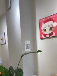 -洗脸猫·洗脸吧