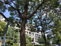 -上海市浦东外事服务学校