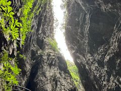 -武陵山森林公园