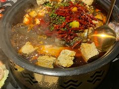 -探鱼·鲜青椒爽麻烤鱼(正佳广场店)