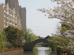 -高东镇樱花园