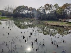 -艾溪湖湿地公园