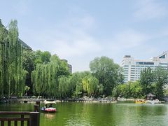 -莲湖公园