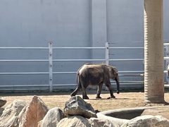 -大青山野生动物园