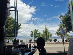 -野菌皇海景野生菌火锅(滨海大道店)
