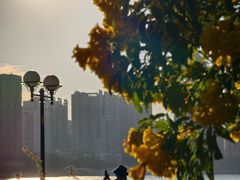 -珠江夜游广州塔·中大码头