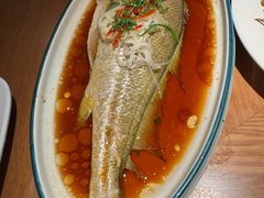 -波螺油子·海肠捞饭·青岛菜(市南银座店)