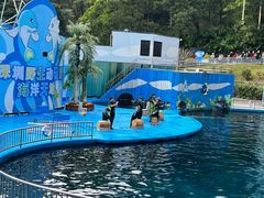 -深圳野生动物园