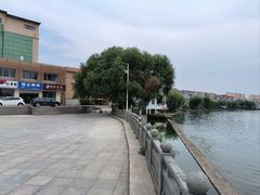 -莱西月湖公园