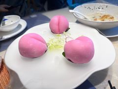 -点都德·毕德寮