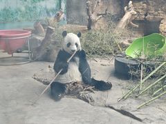 -石家庄市动物园