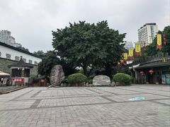 -泸州老窖景区
