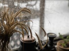 -出走咖啡·面包(宋庄店)