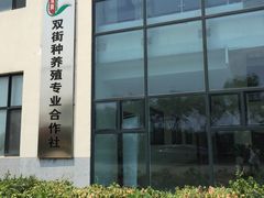 -万源龙顺度假庄园生态观光园