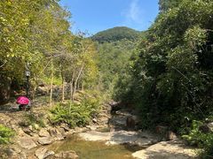 -广州白江湖森林公园