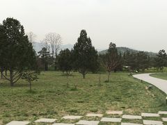 -秦始皇帝陵博物院-丽山园