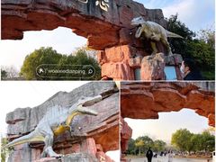 -上海海湾国家森林公园