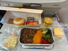 -海南海航航空信息系统公司