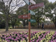 -上海滨江森林公园