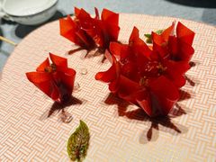 -柿合缘新京菜(静安嘉里中心店)