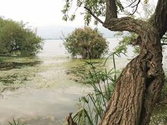 -西昌邛海湿地