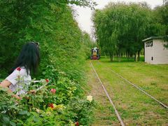 -武清南湖绿博园