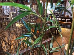 -功夫小龙虾·烧烤·江湖菜(金沙洲店)