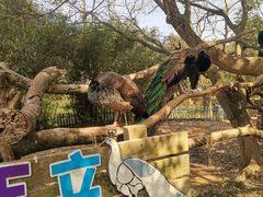 -宁波野生动物园