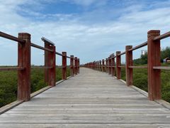 -北海金海湾红树林生态旅游区