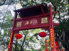 -侨美·唐荔园·40年地道粤菜