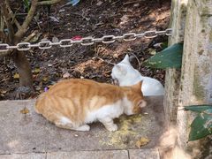 -狼山风景名胜区