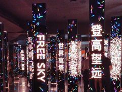 -平安金融中心云际观光层