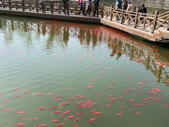 -迎泽公园